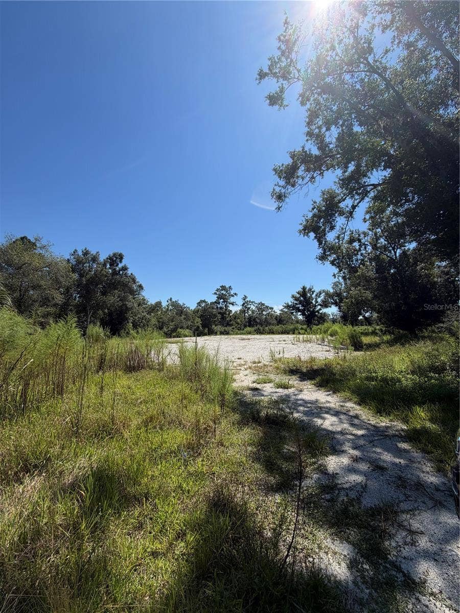 1428 E CHARLES STREET, Arcadia, FL 34266