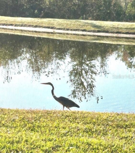 6827 GOSPORT COVE, Bradenton, FL 34202 Enjoy the beauty of nature as local wildlife and graceful waterfowl bring this picturesque setting to life.