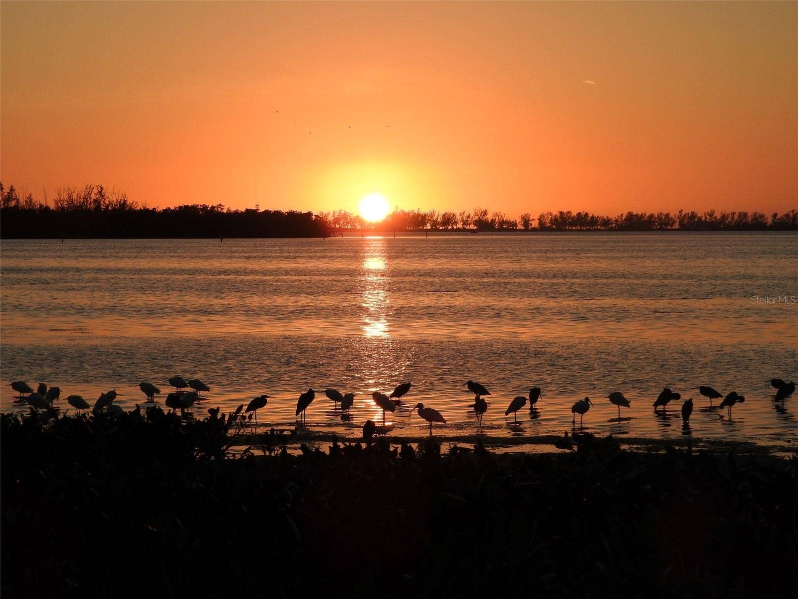 4605 LEXINGTON CIRCLE, Bradenton, FL 34210 Mt Vernon sunset
