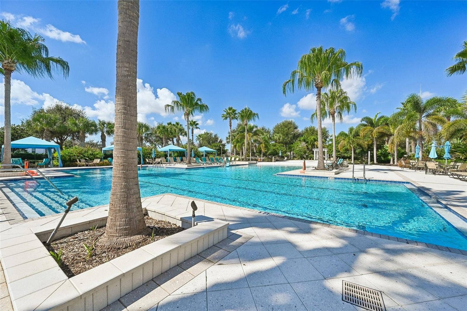 11103 SPRING POINT CIRCLE, Riverview, FL 33579