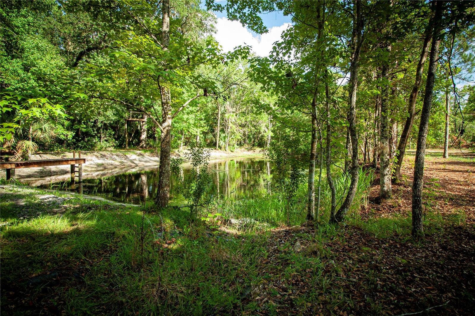 54720 ASTOR TRANSFER STATION ROAD, Astor, FL 32102 54720 ASTOR TRANSFER STATION ROAD, Astor, FL 32102