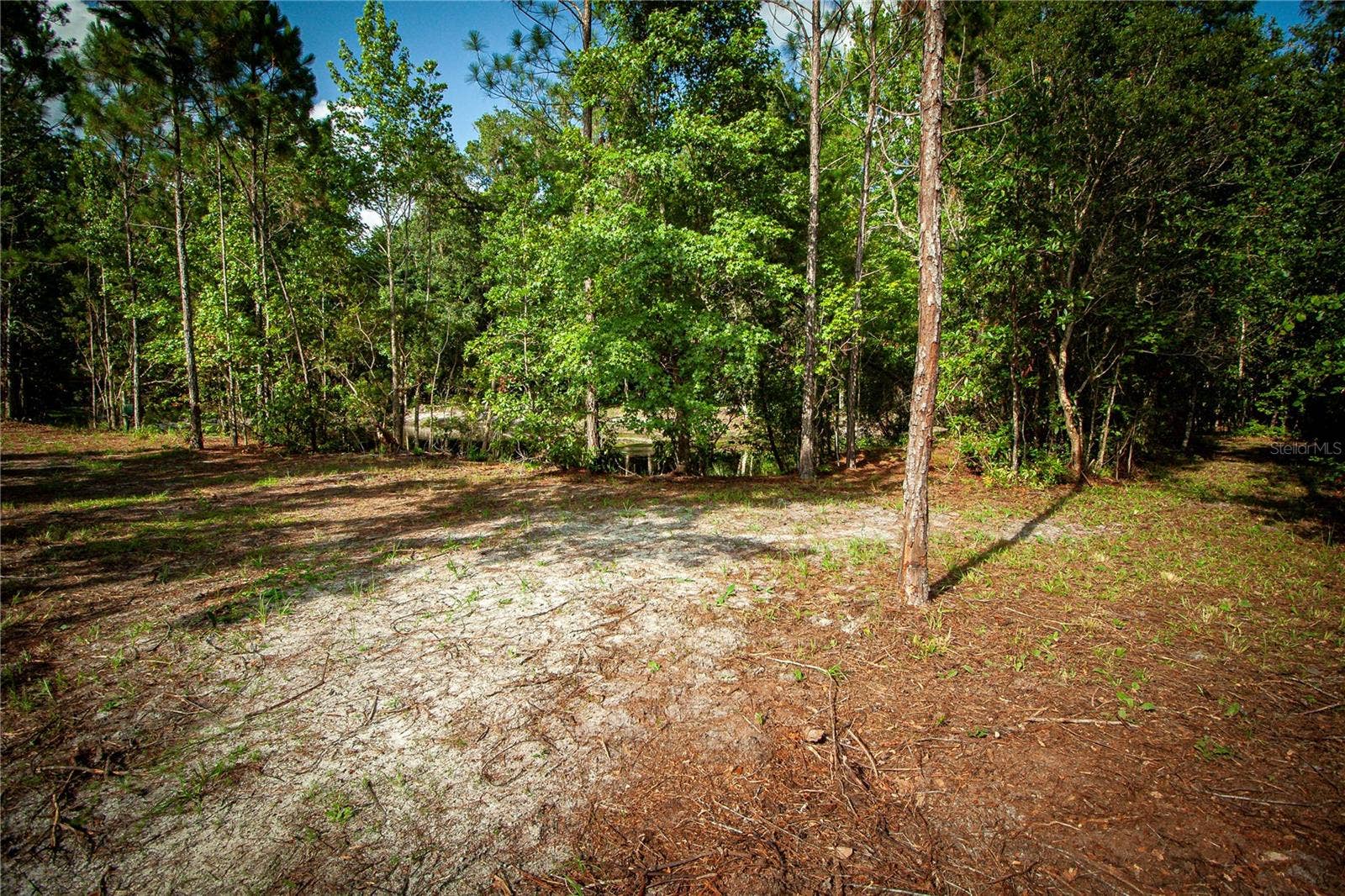 54720 ASTOR TRANSFER STATION ROAD, Astor, FL 32102 54720 ASTOR TRANSFER STATION ROAD, Astor, FL 32102