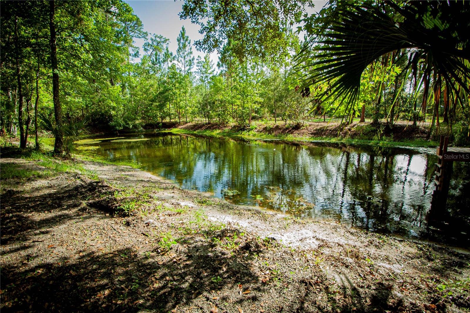 54720 ASTOR TRANSFER STATION ROAD, Astor, FL 32102 54720 ASTOR TRANSFER STATION ROAD, Astor, FL 32102