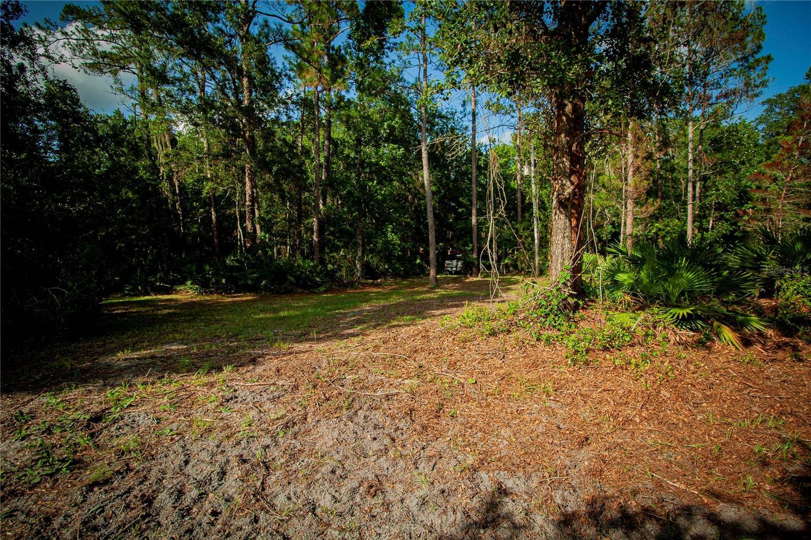 54720 ASTOR TRANSFER STATION ROAD, Astor, FL 32102 54720 ASTOR TRANSFER STATION ROAD, Astor, FL 32102