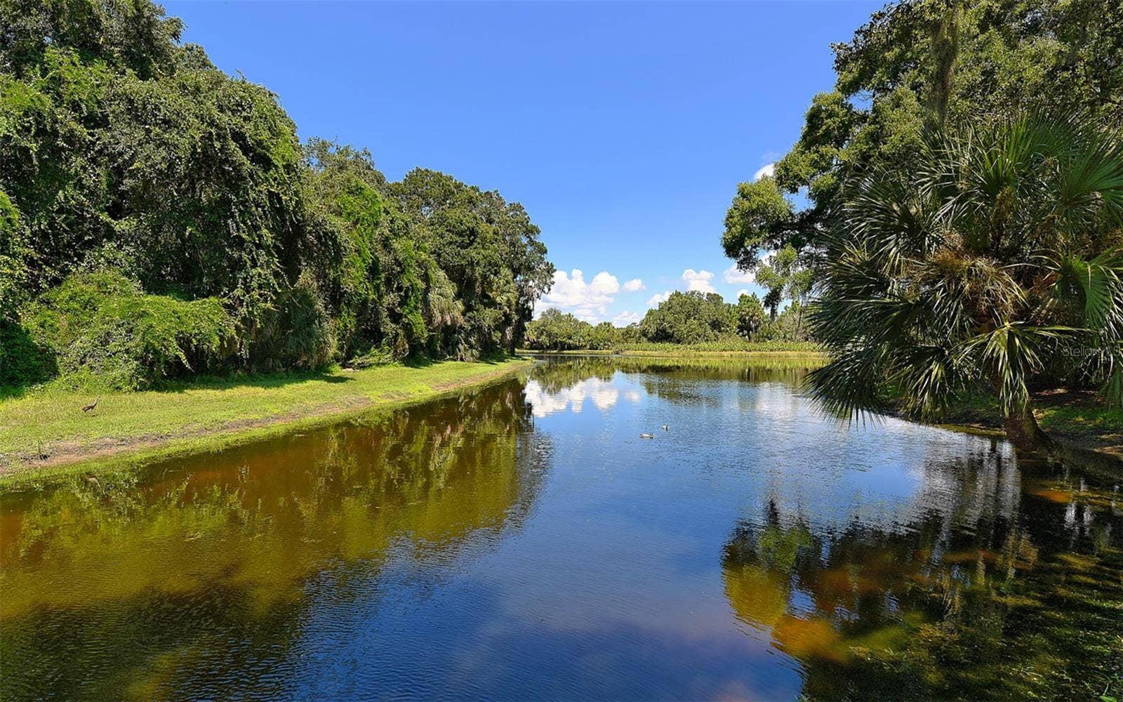 5179 LITTLE BROOK COURT, Sarasota, FL 34238 5179 LITTLE BROOK COURT, Sarasota, FL 34238