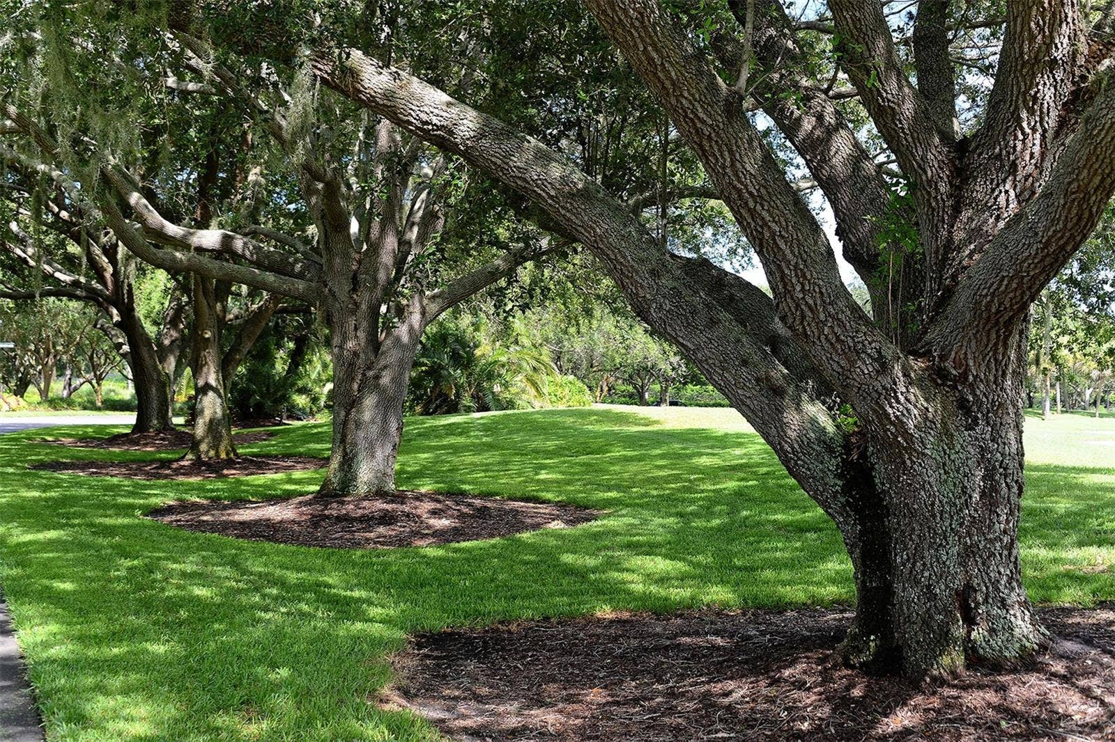 117 BISHOPS COURT ROAD, Osprey, FL 34229