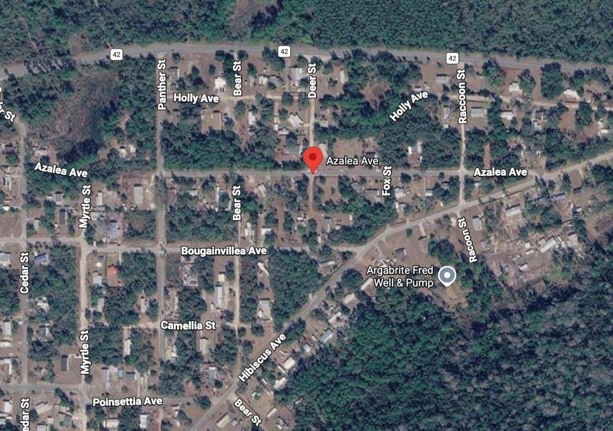 AZALEA AVENUE, Paisley, FL 32767 AZALEA AVENUE, Paisley, FL 32767