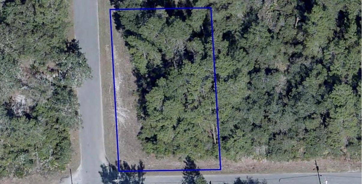 AZALEA AVENUE, Paisley, FL 32767 AZALEA AVENUE, Paisley, FL 32767