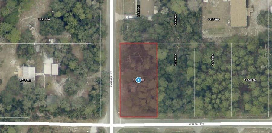Property photo for AZALEA AVENUE, Paisley, FL