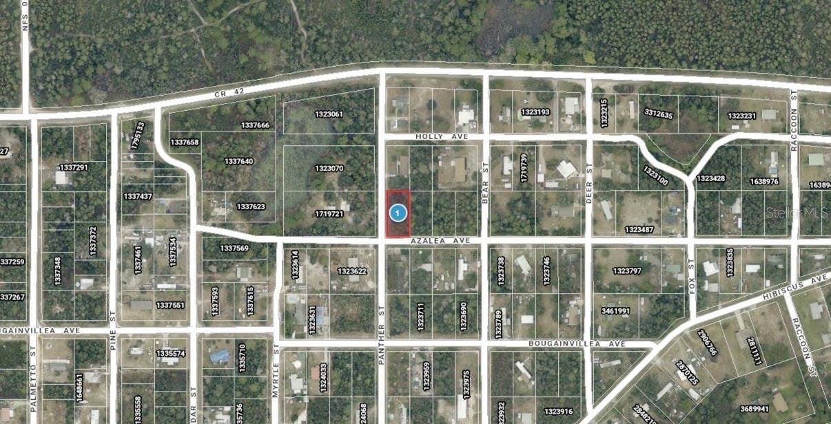 AZALEA AVENUE, Paisley, FL 32767 AZALEA AVENUE, Paisley, FL 32767