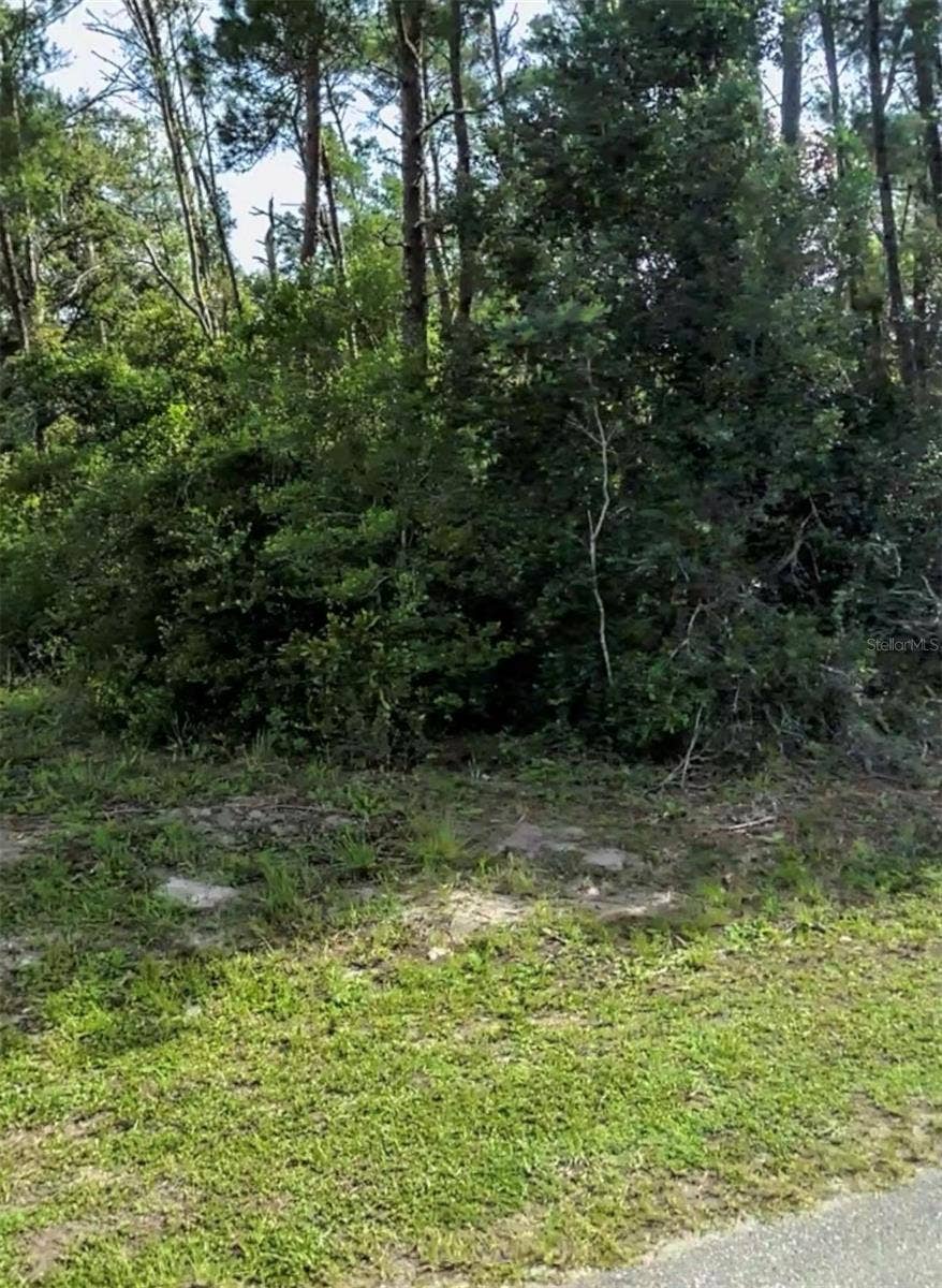 AZALEA AVENUE, Paisley, FL 32767 AZALEA AVENUE, Paisley, FL 32767