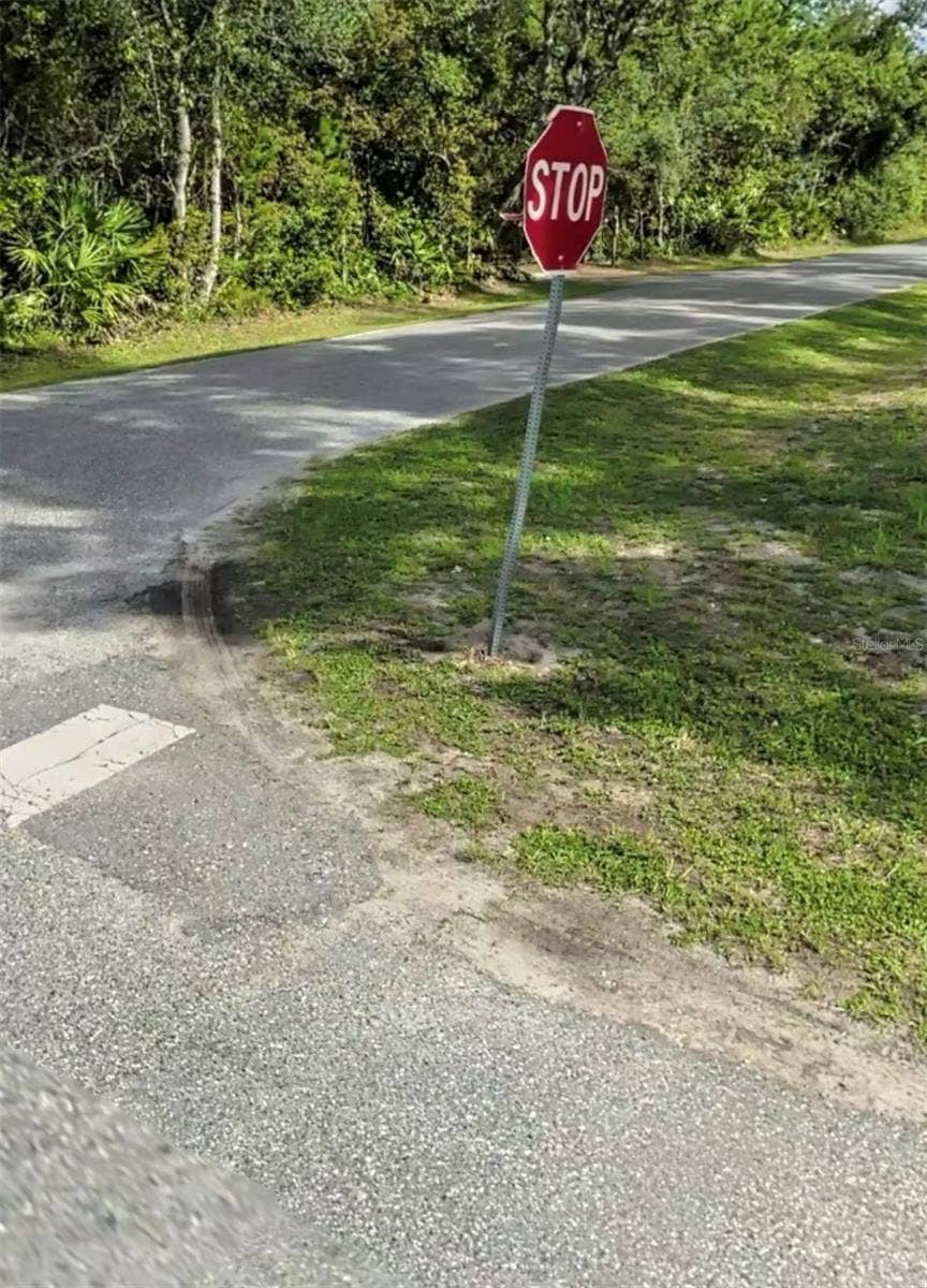 AZALEA AVENUE, Paisley, FL 32767 AZALEA AVENUE, Paisley, FL 32767