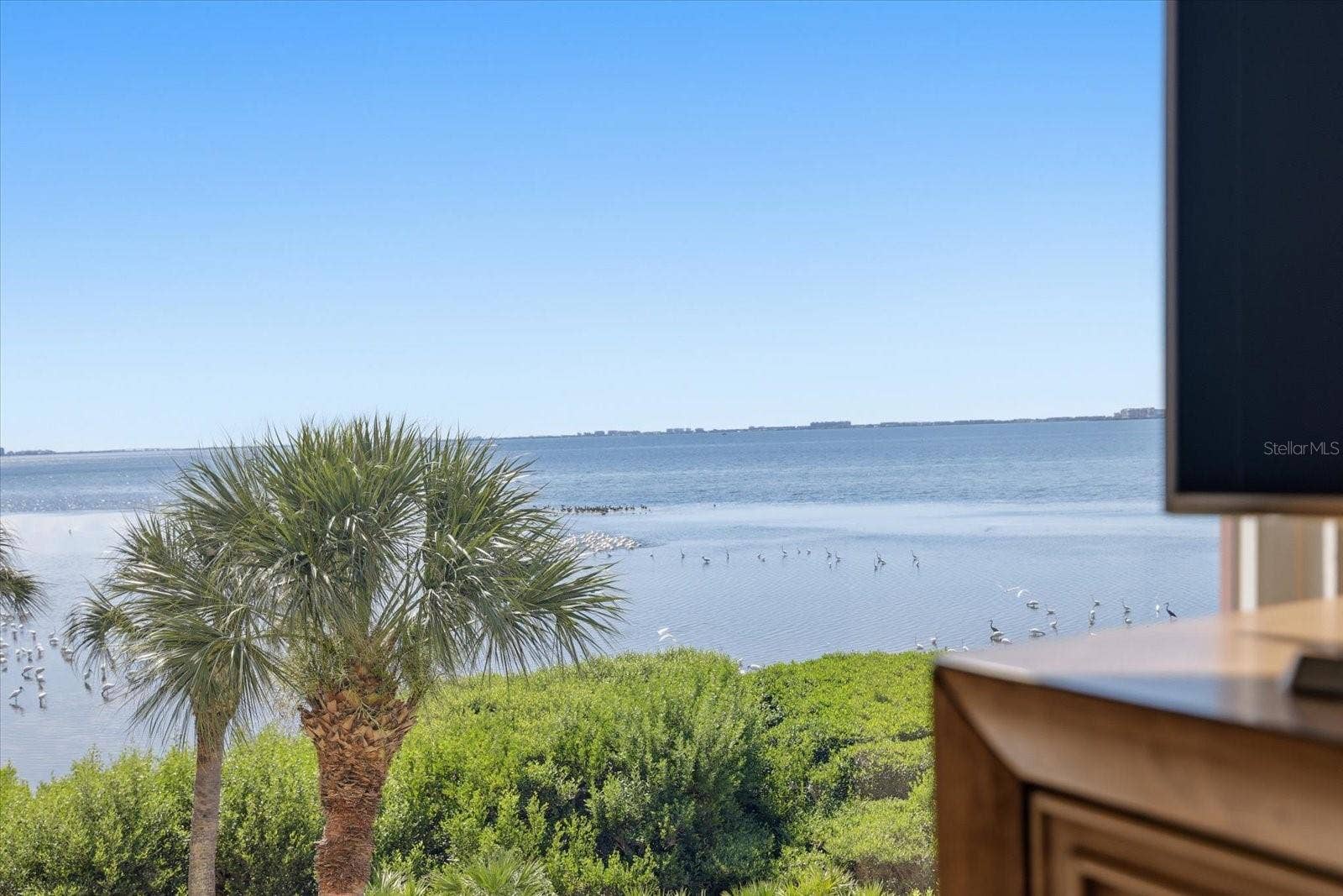 6460 MOURNING DOVE DRIVE, #305, Bradenton, FL 34210 6460 MOURNING DOVE DRIVE, #305, Bradenton, FL 34210