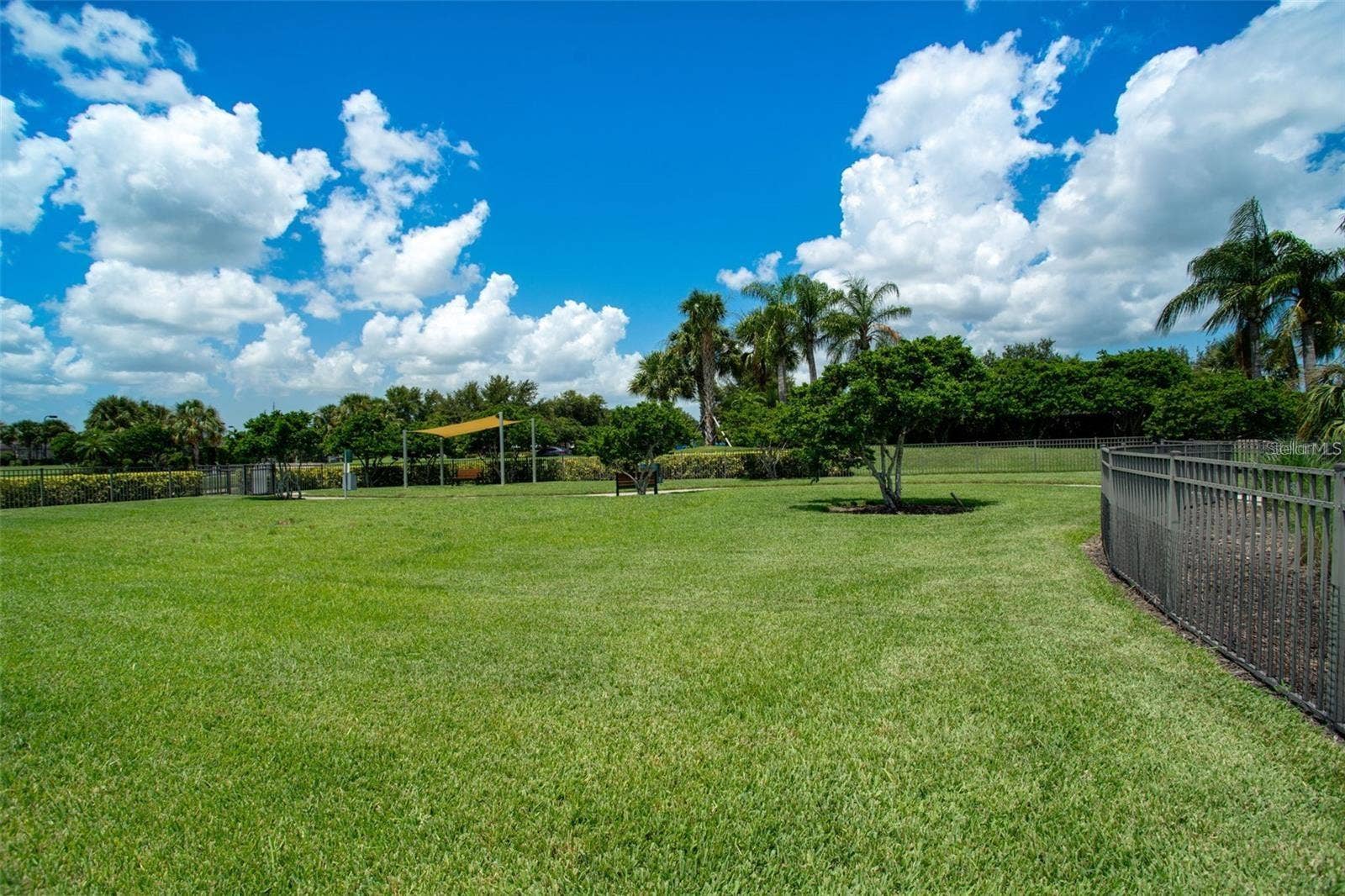 DOG PARK