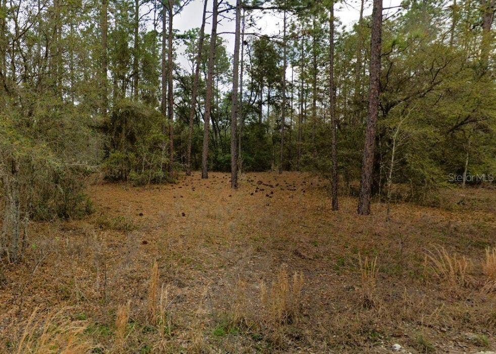 0 SW 13TH STREET, Ocala, FL 34481