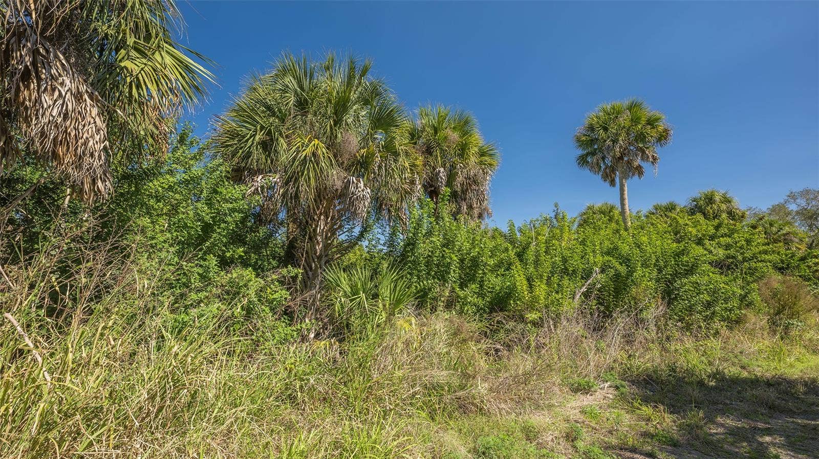 PARKER DRIVE, Venice, FL 34292 PARKER DRIVE, Venice, FL 34292