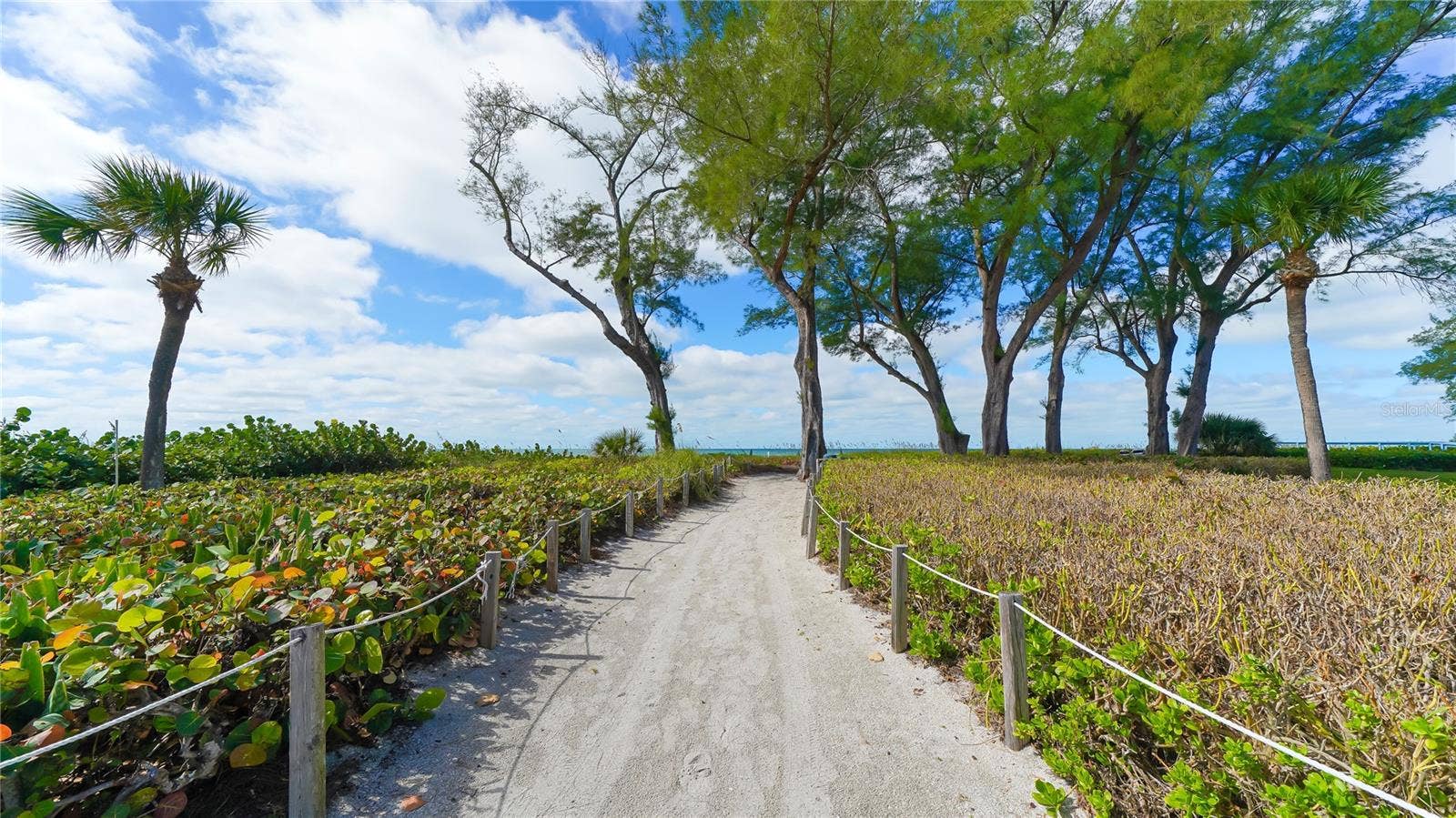 4800 GULF OF MEXICO DRIVE, #205, Longboat Key, FL 34228 Deeded Beach Path!
