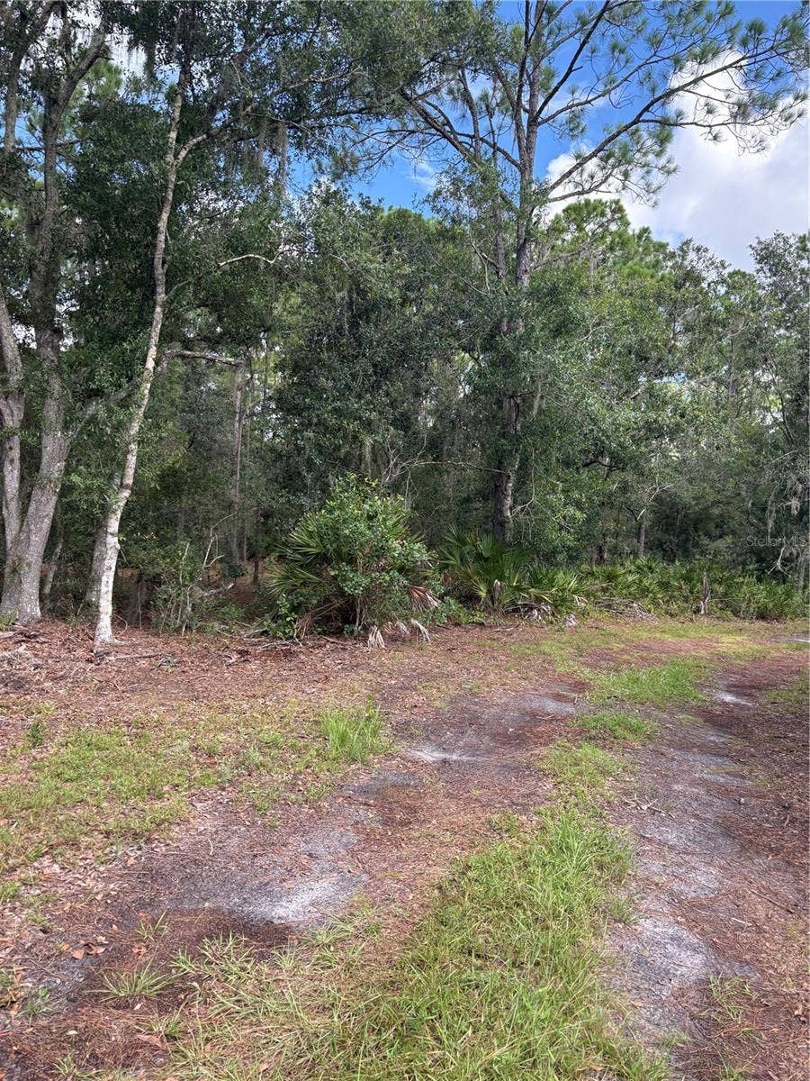5010 WAUCHULA ROAD, Myakka City, FL 34251 5010 WAUCHULA ROAD, Myakka City, FL 34251
