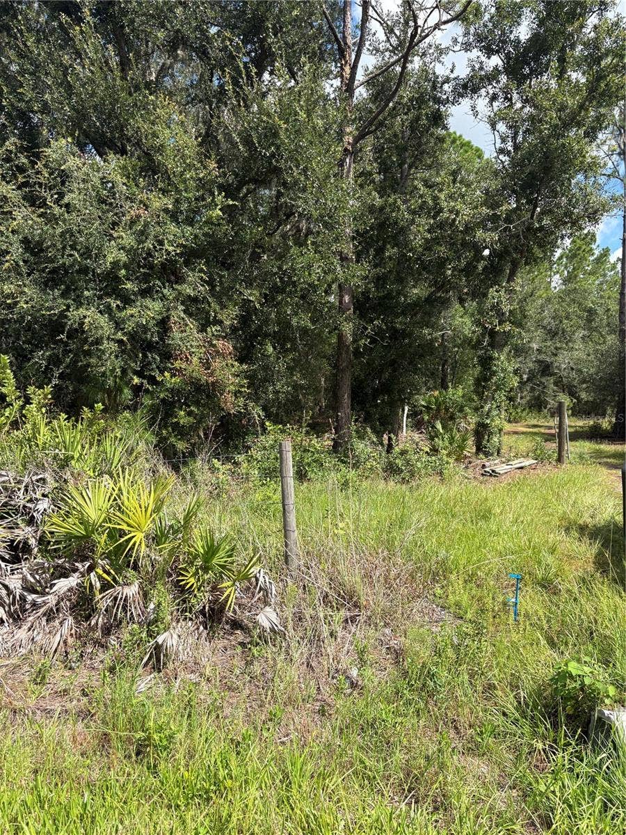 5020 WAUCHULA ROAD, Myakka City, FL 34251 5020 WAUCHULA ROAD, Myakka City, FL 34251
