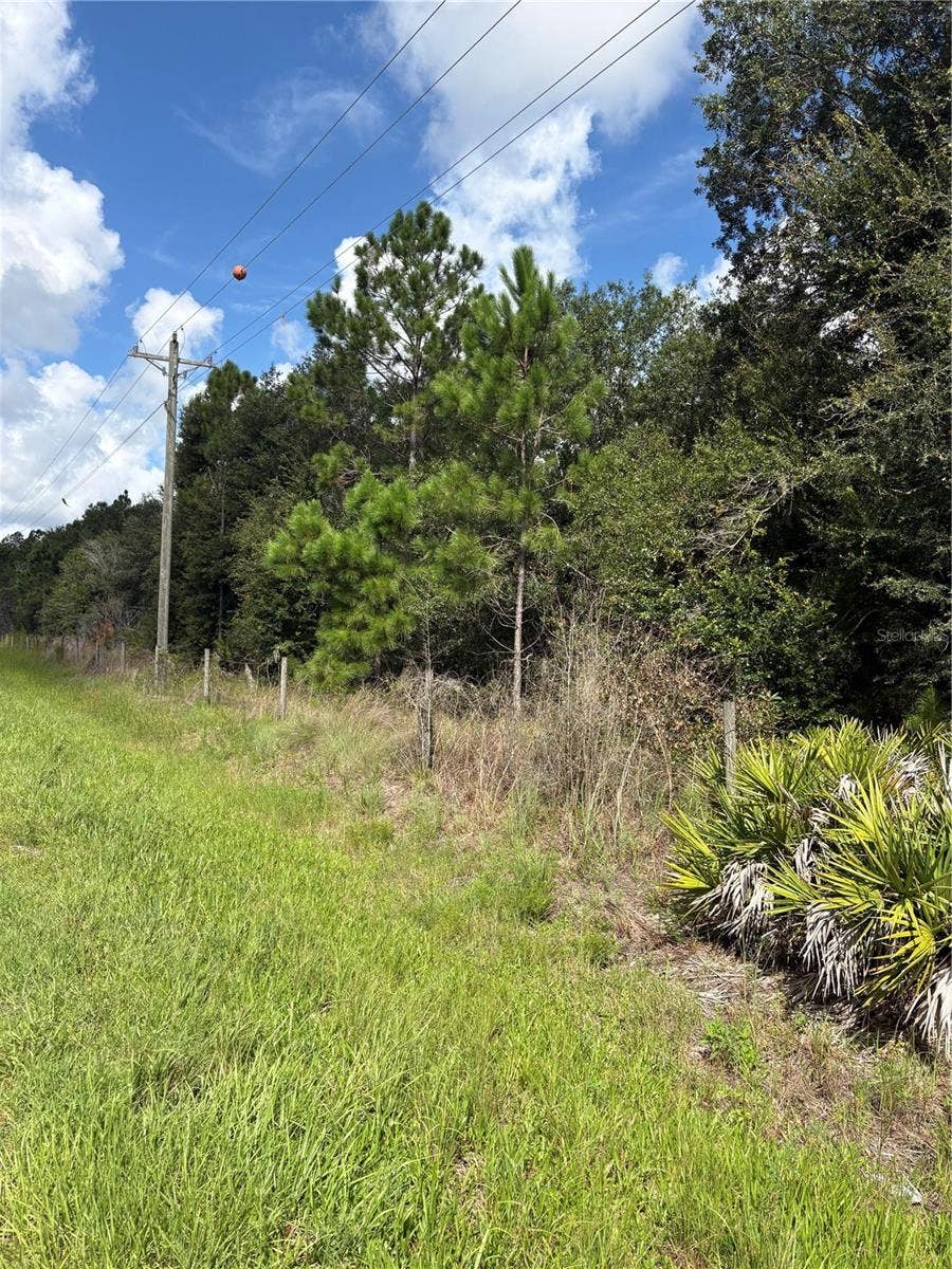 5020 WAUCHULA ROAD, Myakka City, FL 34251 5020 WAUCHULA ROAD, Myakka City, FL 34251