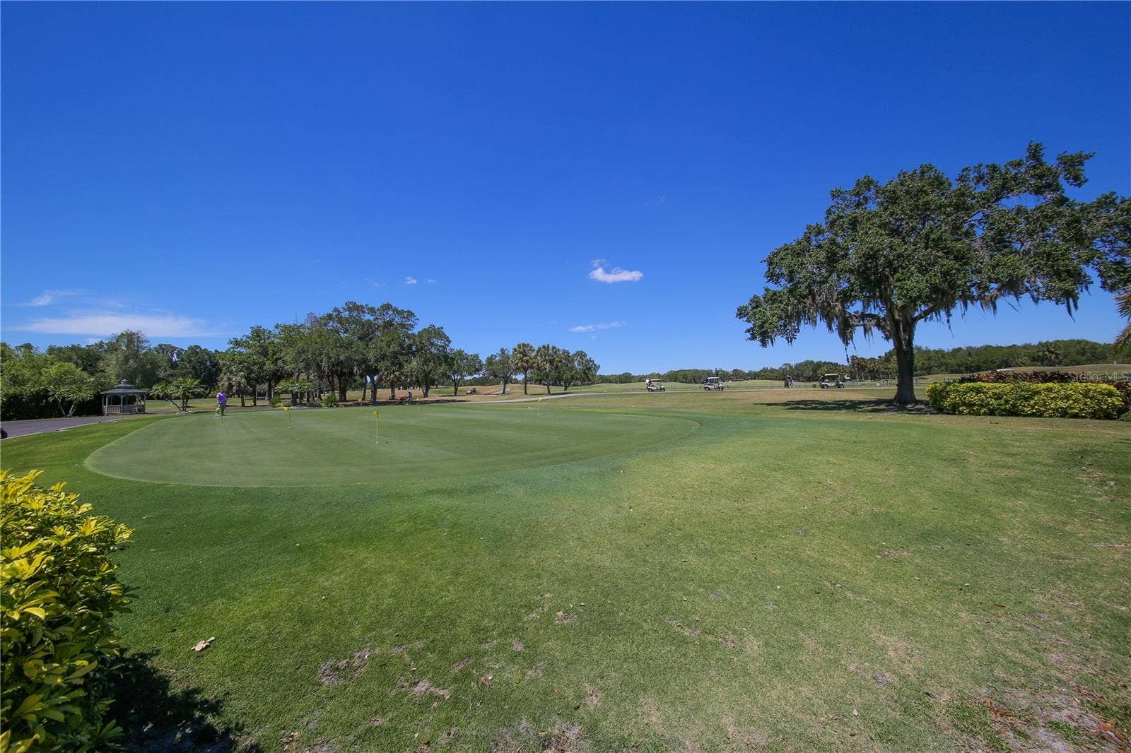 3211 WOODLAND FERN DRIVE, Parrish, FL 34219