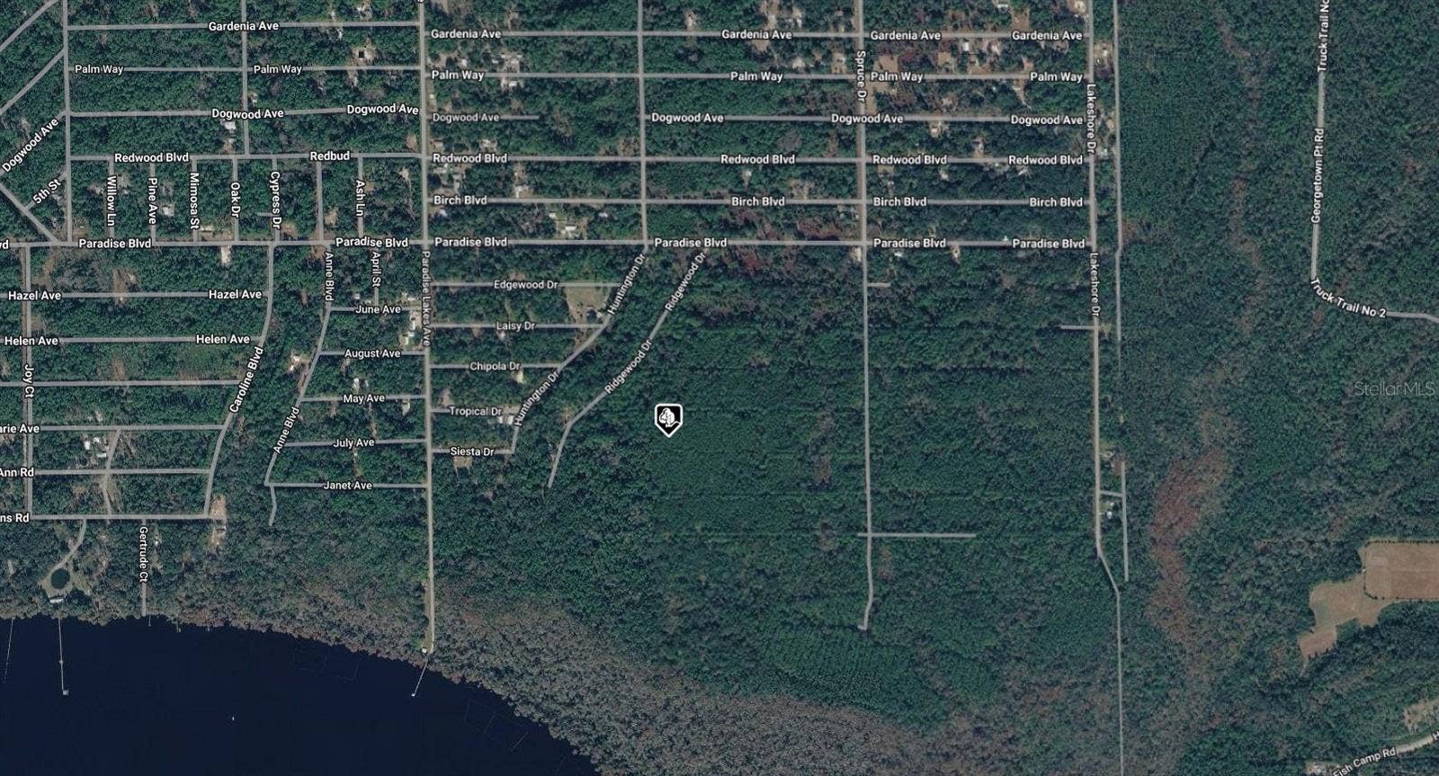 302 SIESTA DRIVE, Georgetown, FL 32139 302 SIESTA DRIVE, Georgetown, FL 32139