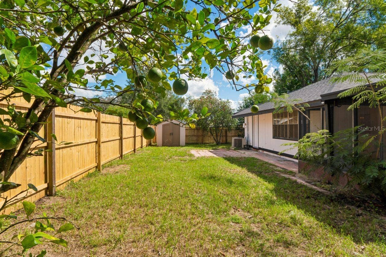 31043 WILLOW BANK AVENUE, Brooksville, FL 34602 Fenced Yard