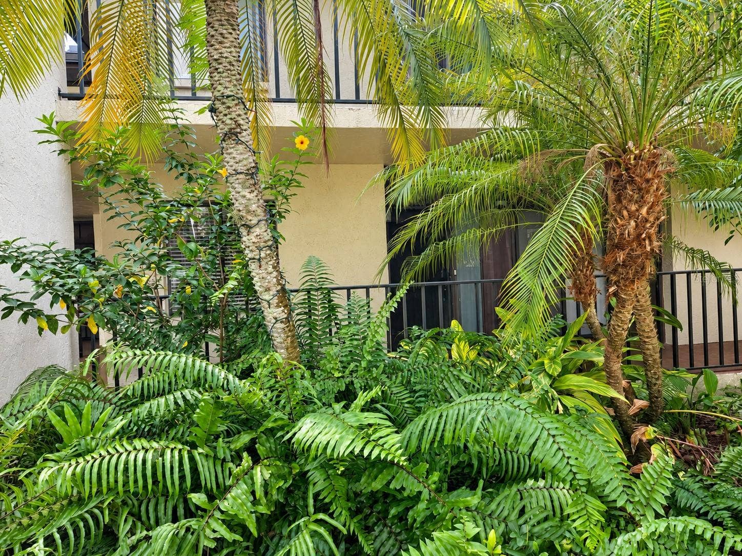 3803 SUN EAGLE LN, #203, Bradenton, FL 34210 3803 SUN EAGLE LN, #203, Bradenton, FL 34210