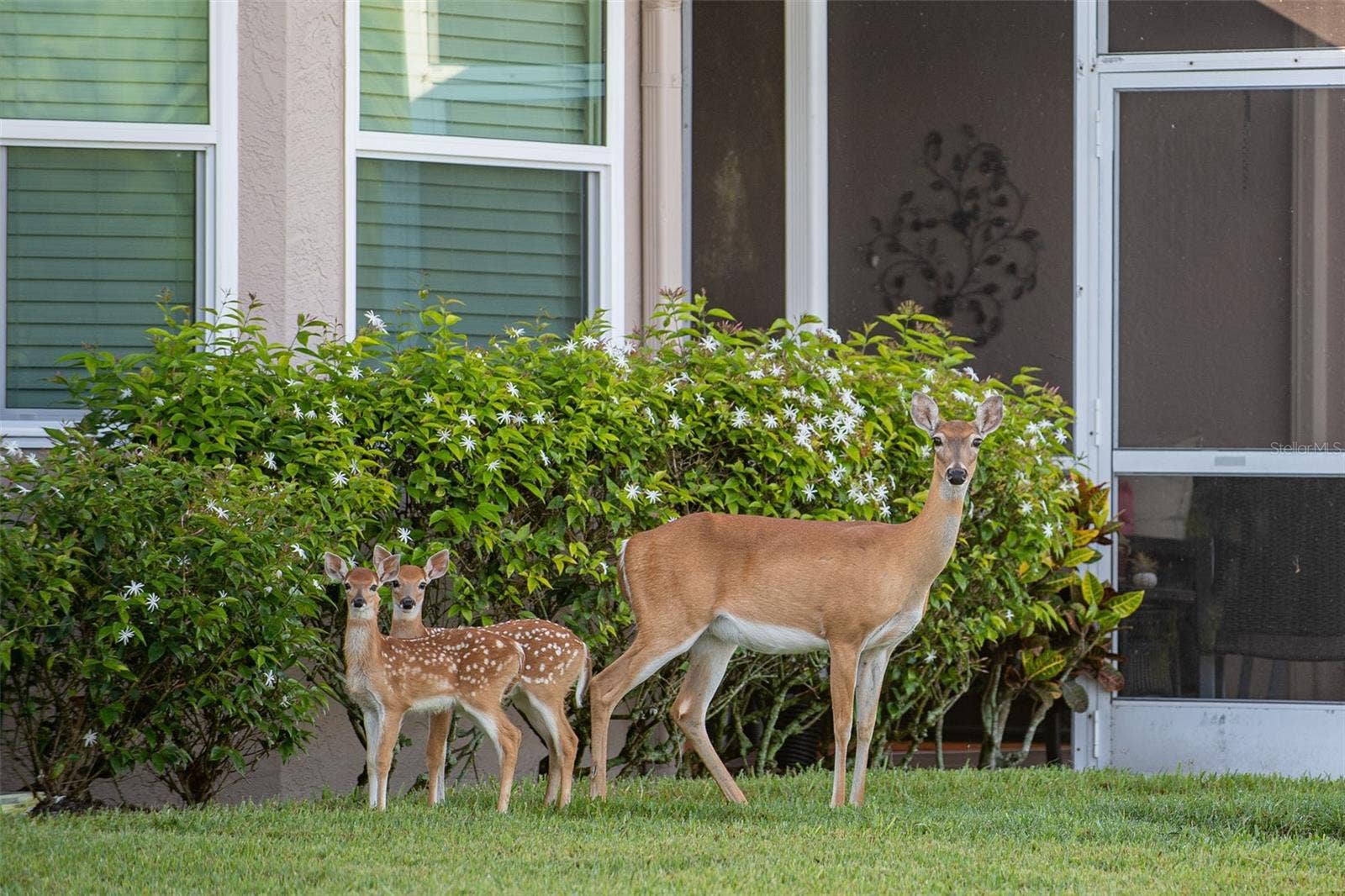 5288 MAHOGANY RUN AVENUE, Sarasota, FL 34241 5288 MAHOGANY RUN AVENUE, Sarasota, FL 34241