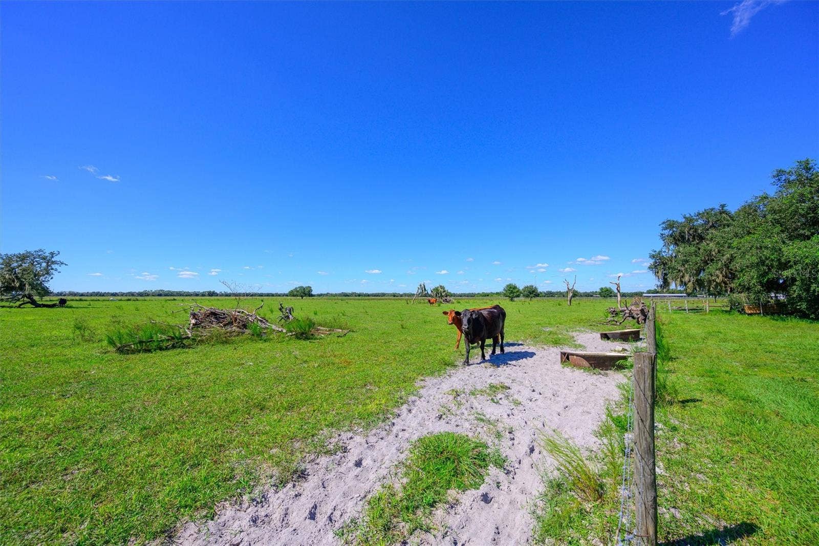 10650 BRENDLE ROAD, Myakka City, FL 34251