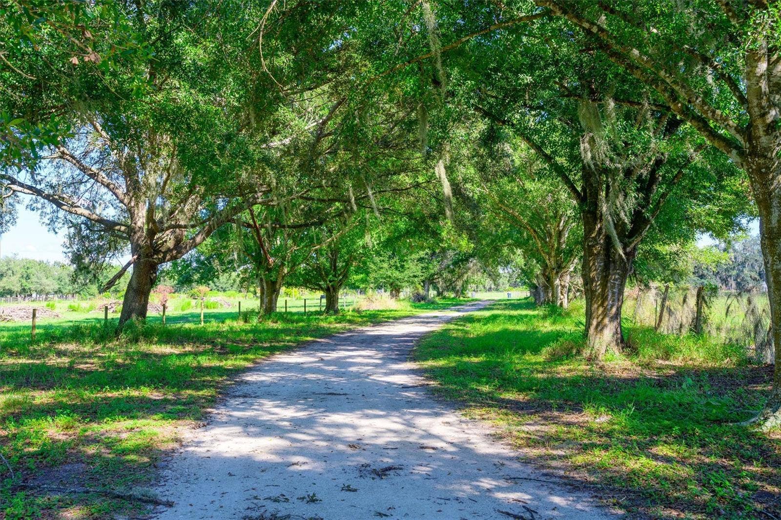 10650 BRENDLE ROAD, Myakka City, FL 34251