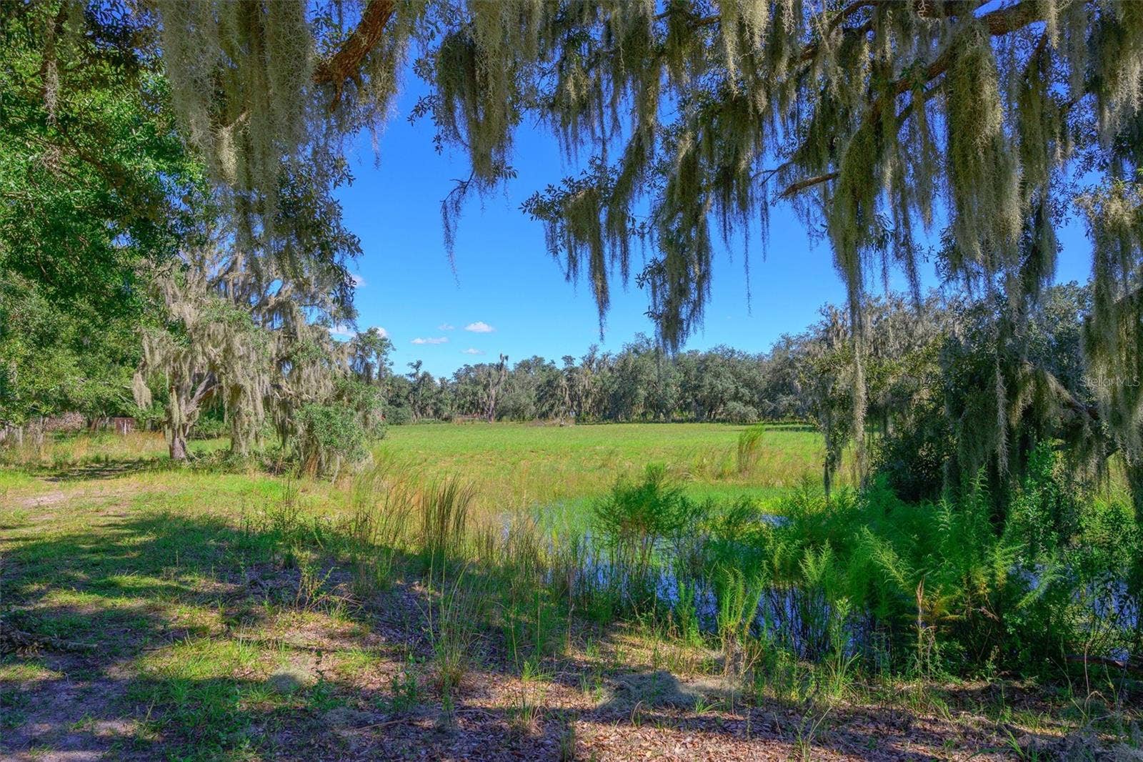 10650 BRENDLE ROAD, Myakka City, FL 34251