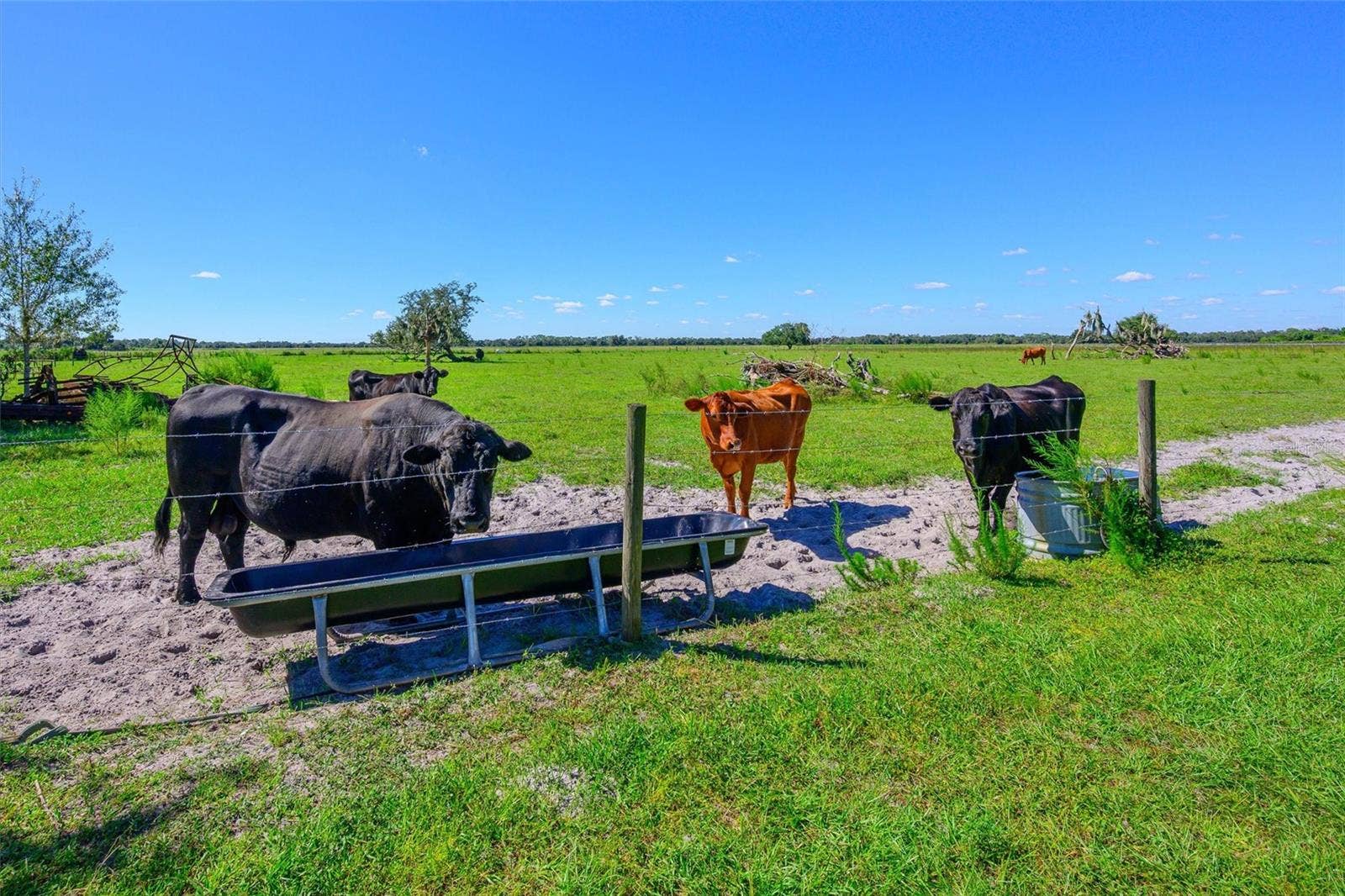 10650 BRENDLE ROAD, Myakka City, FL 34251