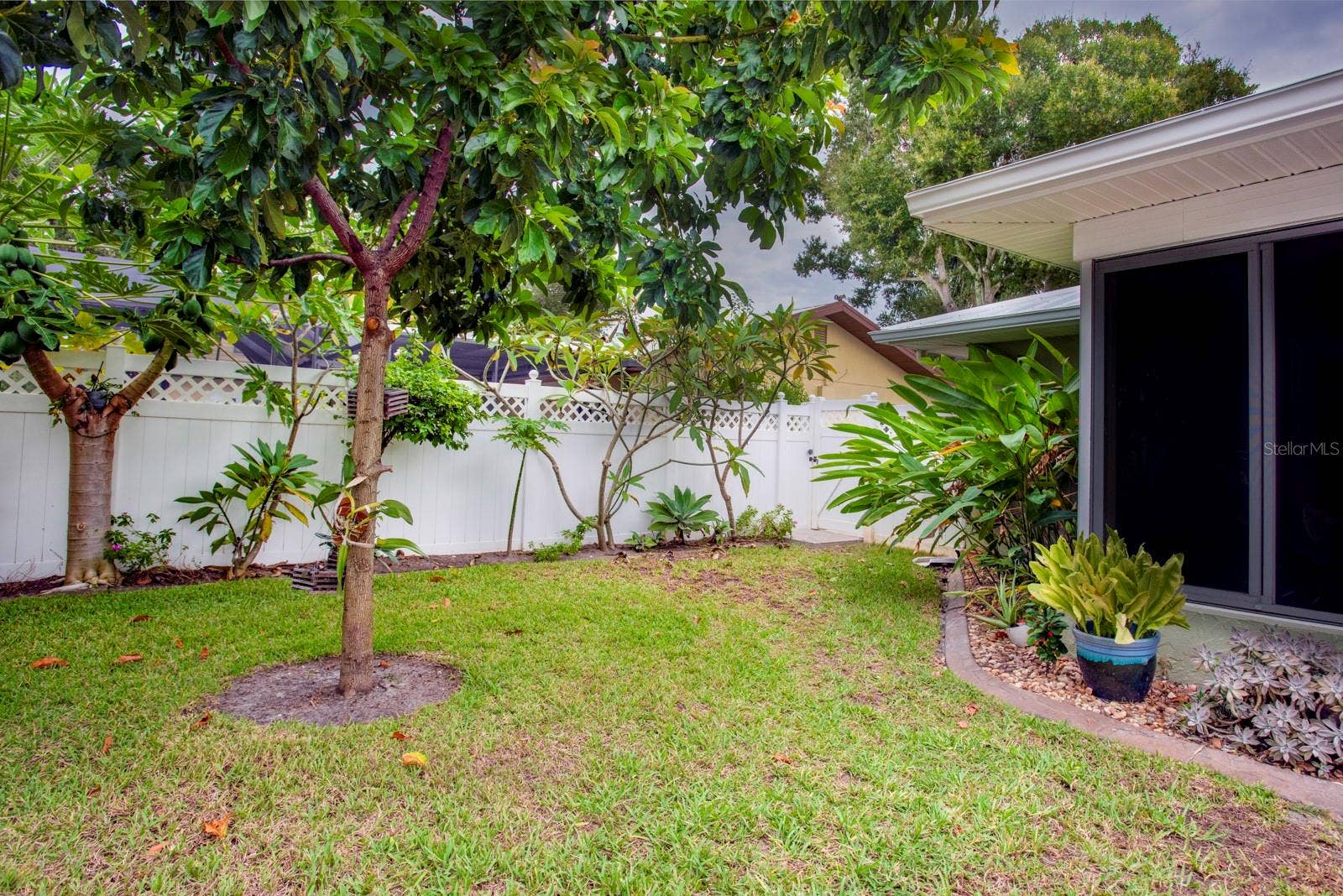 Fenced Backyard