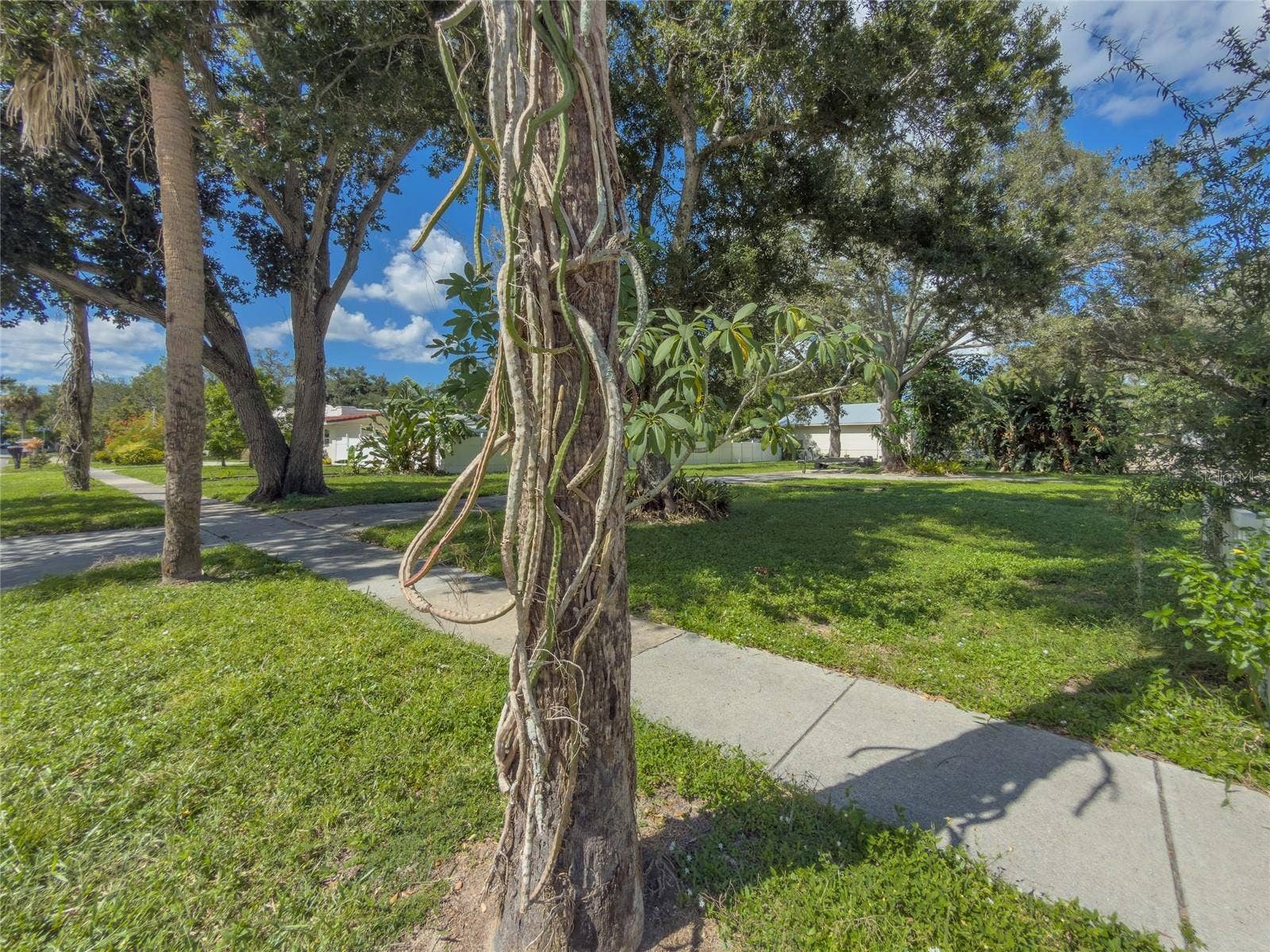1706 4TH STREET W, Palmetto, FL 34221 1706 4TH STREET W, Palmetto, FL 34221