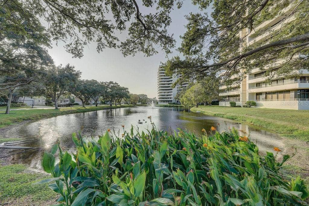 5940 PELICAN BAY PLAZA S, #203, Gulfport, FL 33707 5940 PELICAN BAY PLAZA S, #203, Gulfport, FL 33707