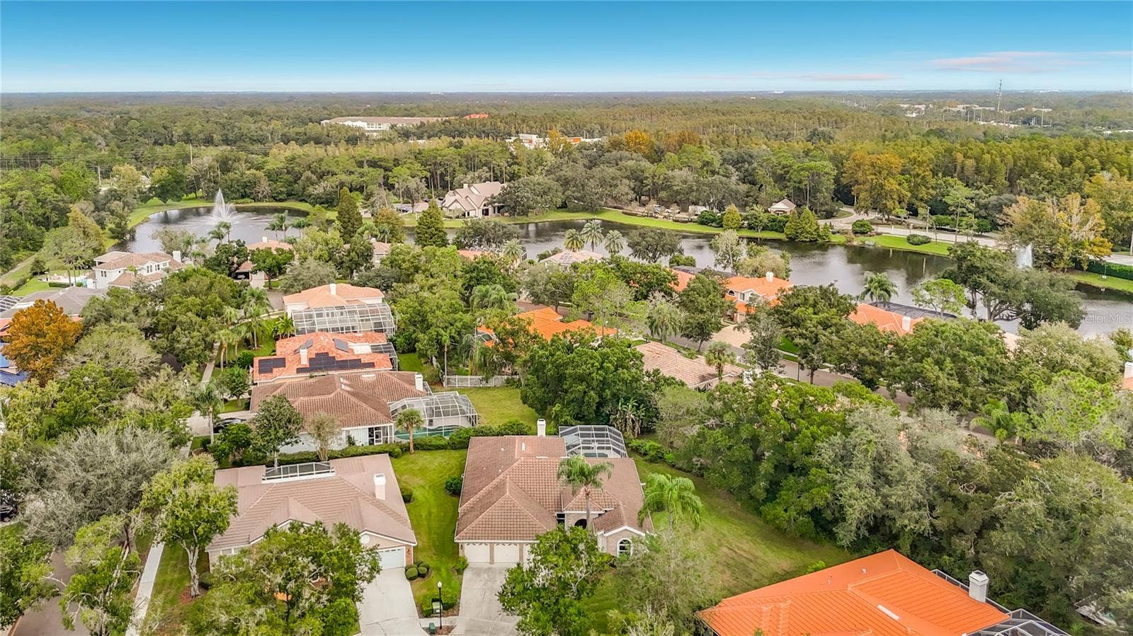 8704 BROADGREEN COURT, Tampa, FL 33647
