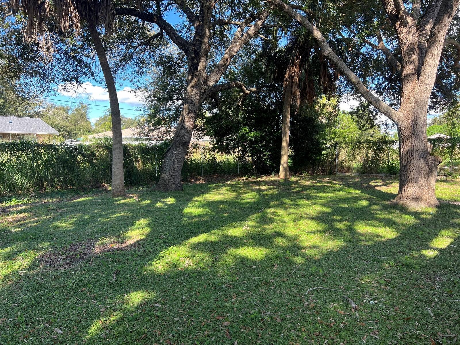 Shaded fenced in back yard