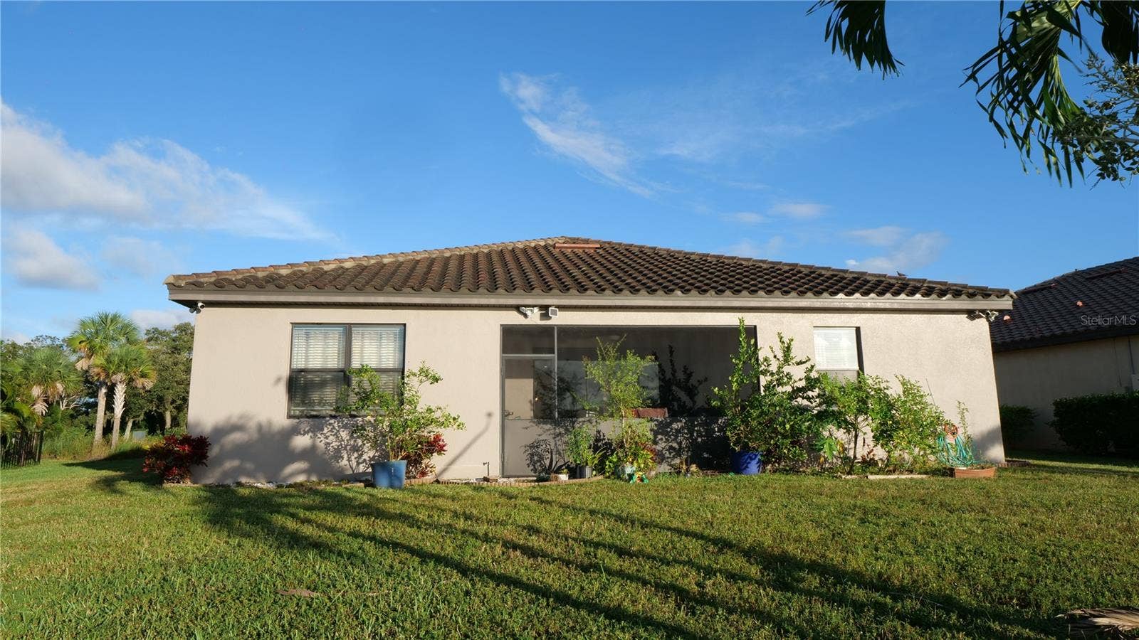 3504 SAVANNA PALMS COURT, Bradenton, FL 34211 backyard!