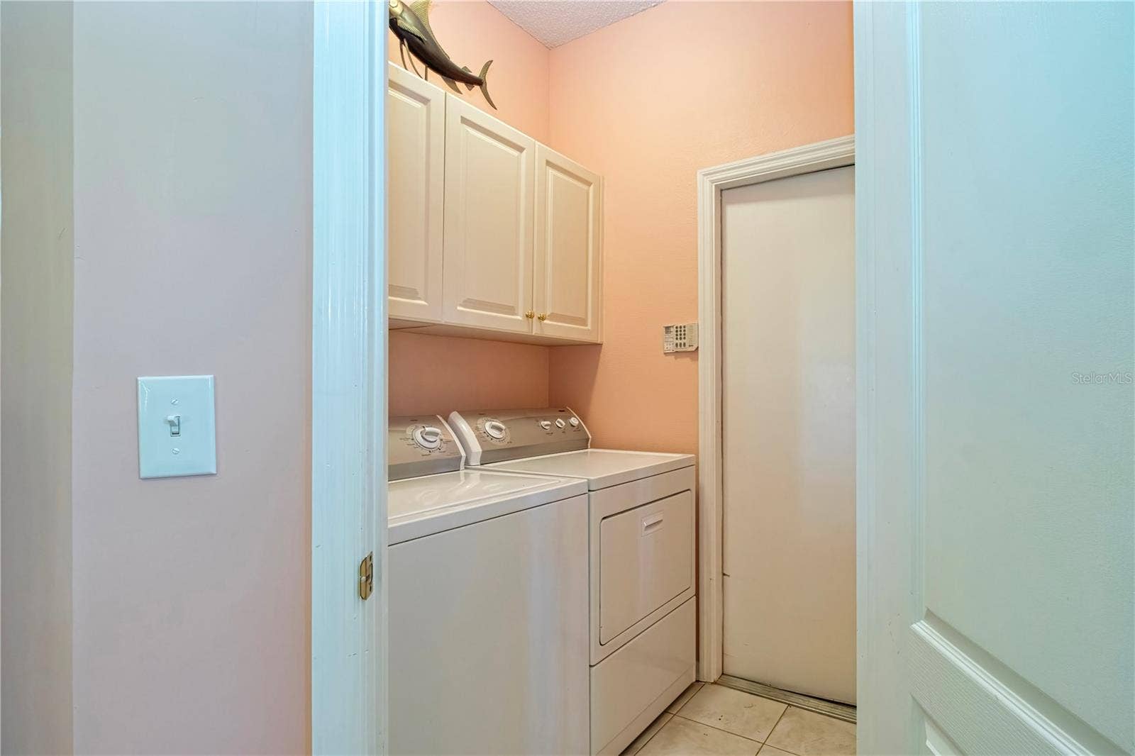 Interior laundry room and garage door.