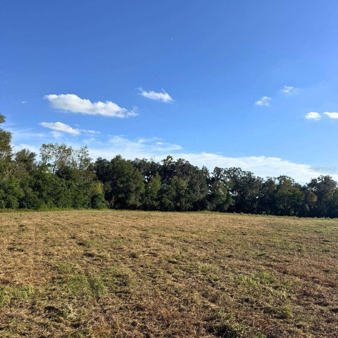 4274 SOUTHWEST 99TH AVENUE, Jasper, FL 32052 4274 SOUTHWEST 99TH AVENUE, Jasper, FL 32052
