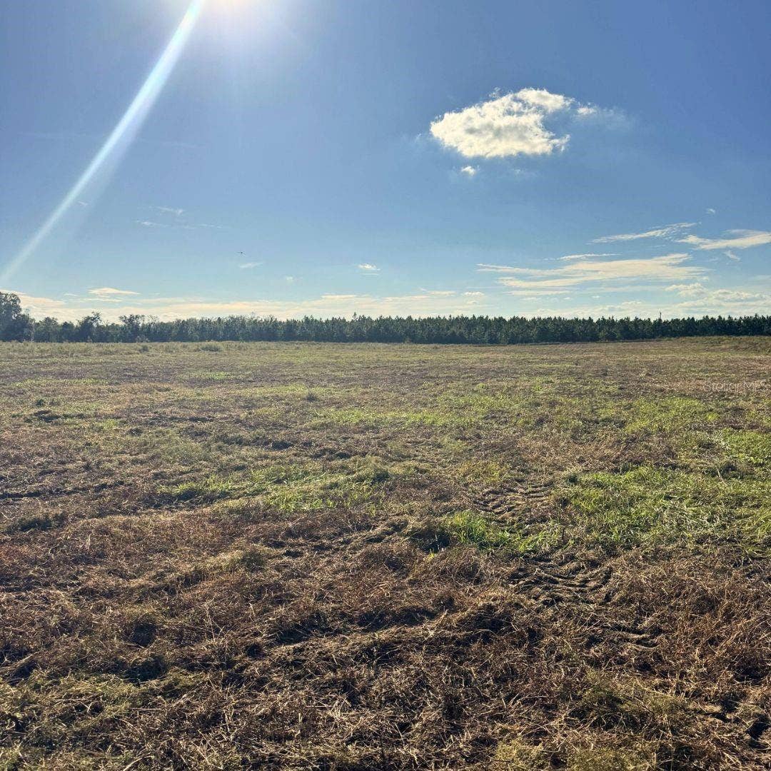 4274 SOUTHWEST 99TH AVENUE, Jasper, FL 32052 4274 SOUTHWEST 99TH AVENUE, Jasper, FL 32052