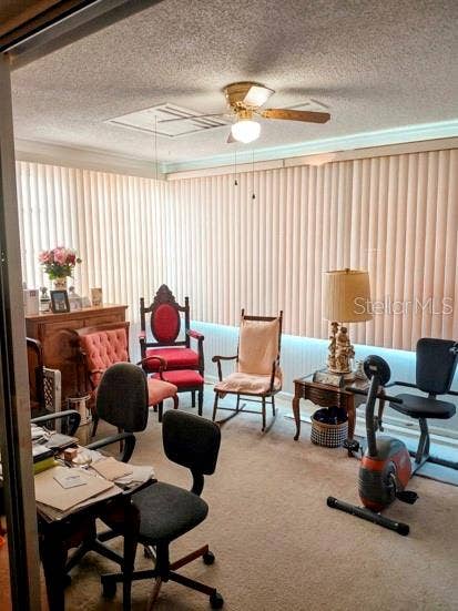 1010 W FAITH CIRCLE, #20, Bradenton, FL 34212 Rear bonus room