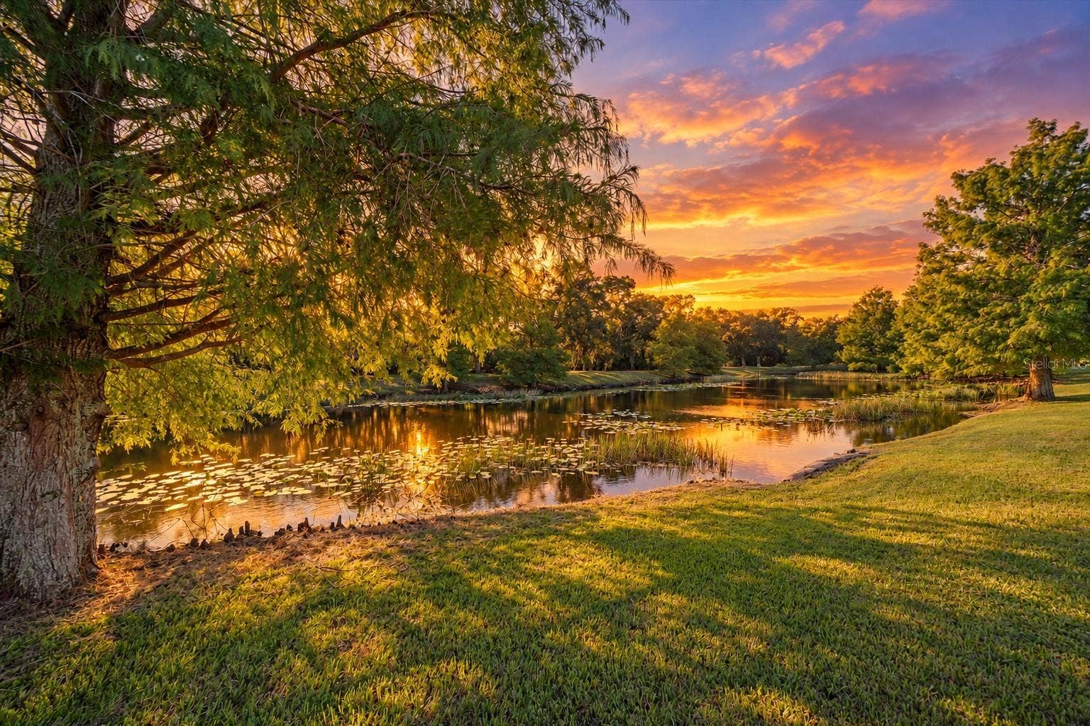 7050 OWLS NEST TERRACE, Bradenton, FL 34203