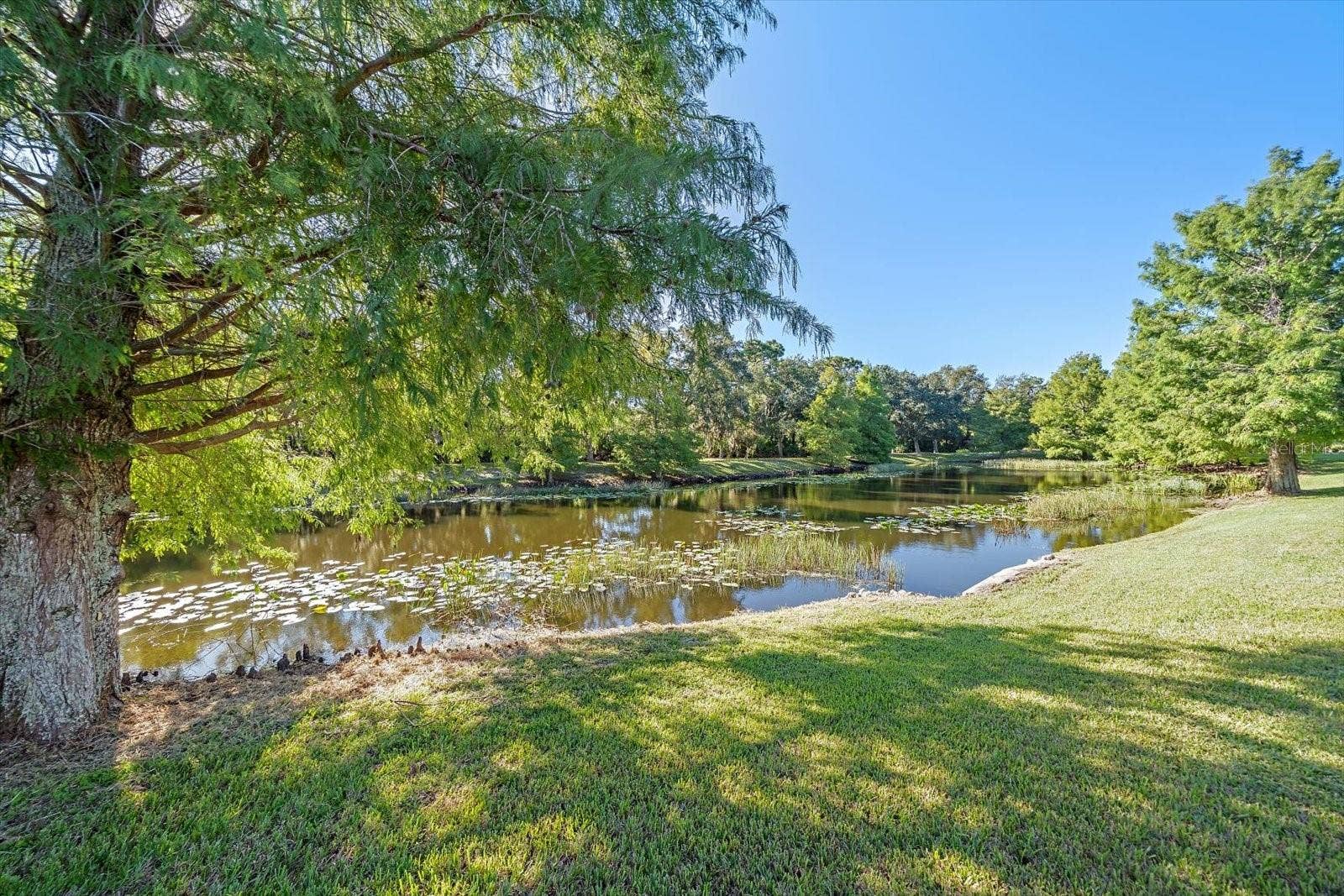 7050 OWLS NEST TERRACE, Bradenton, FL 34203
