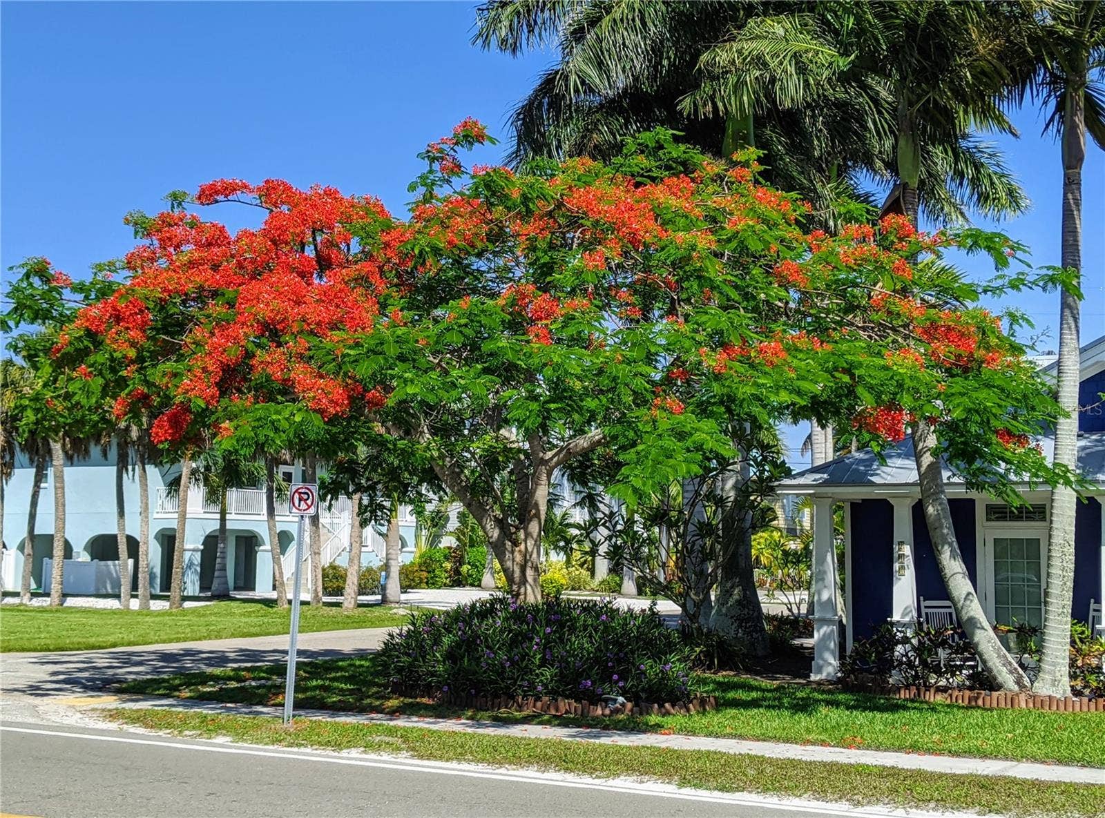 3779 LAKE BAYSHORE DRIVE, #H-402, Bradenton, FL 34205 3779 LAKE BAYSHORE DRIVE, #H-402, Bradenton, FL 34205