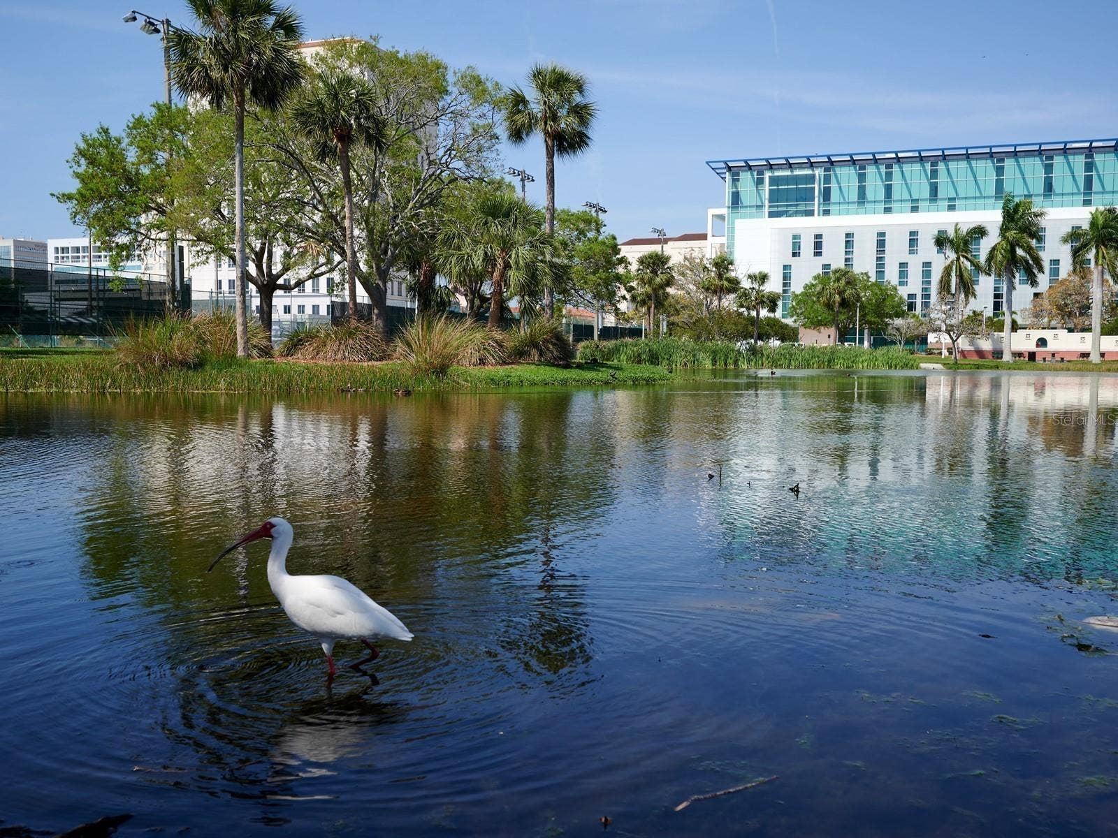 2555 RUFFING COURT, Sarasota, FL 34237