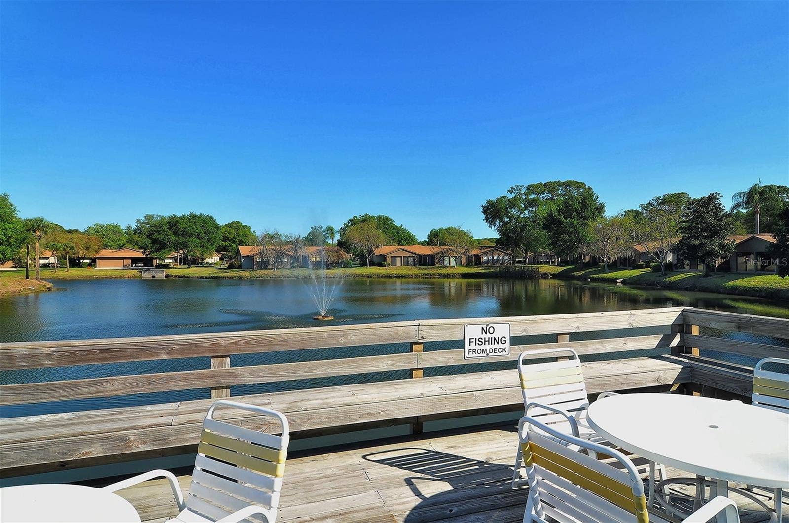 Community lake by pool and picnic area.