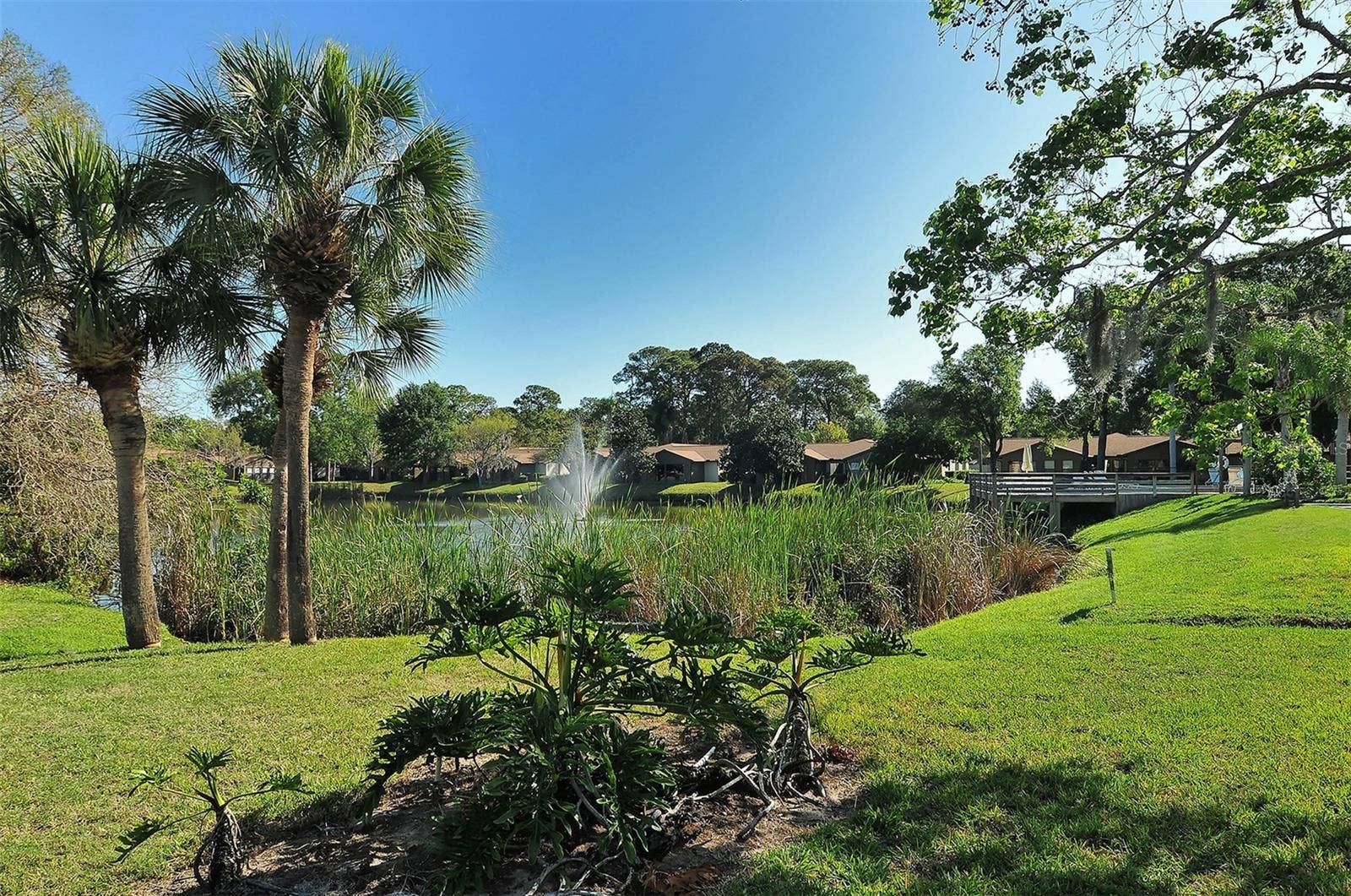 Village Oaks Community