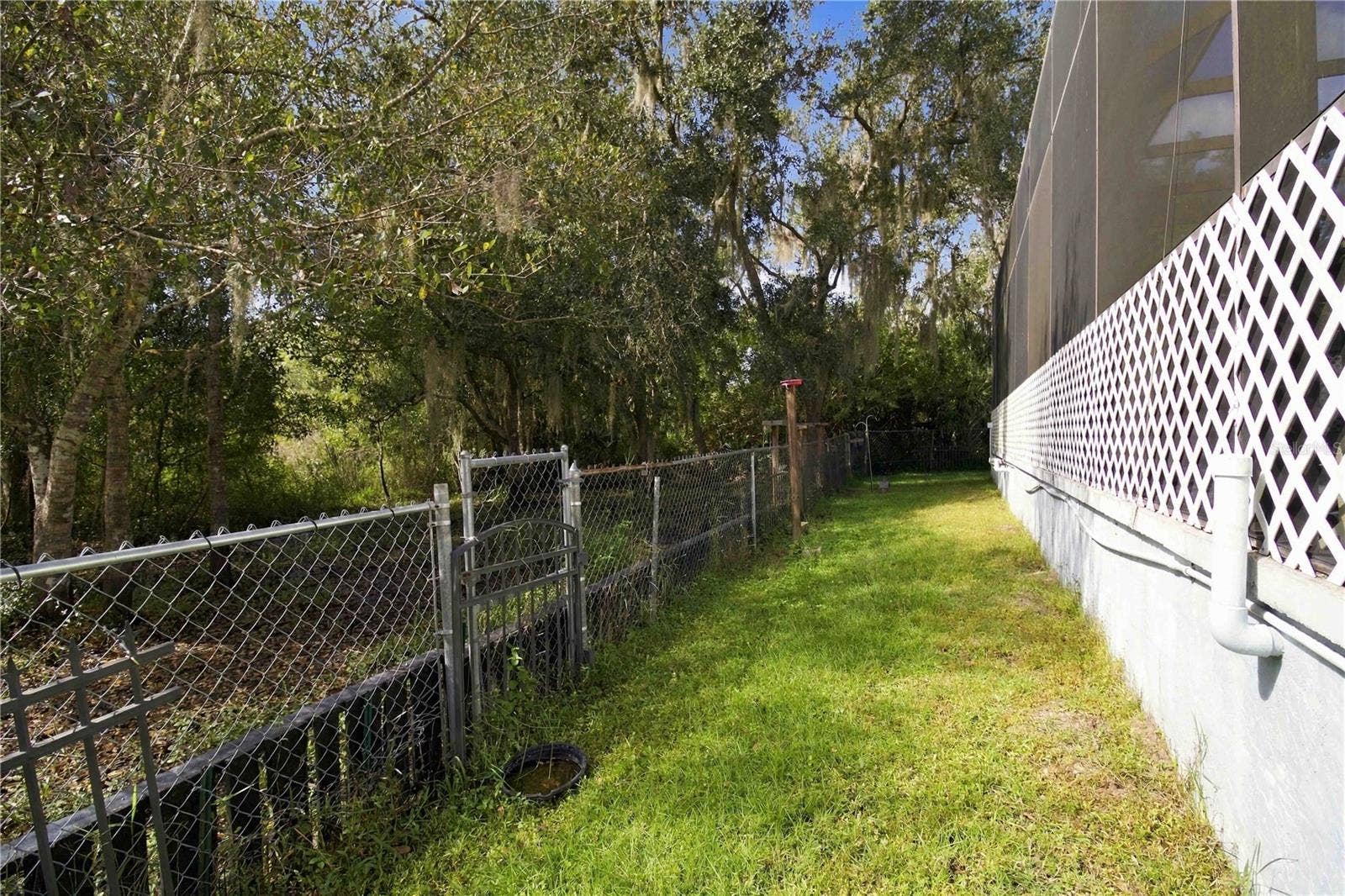 Back Yard